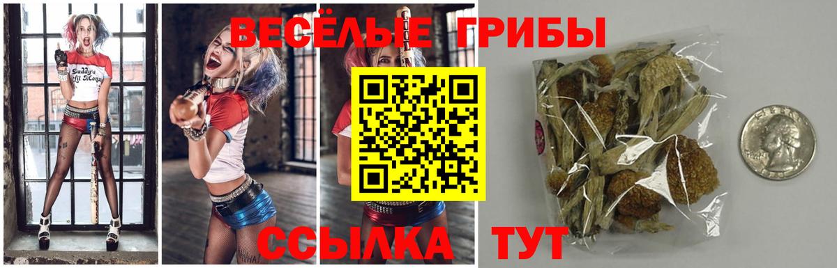 Нижний Новгород  Галлюциногенные грибы Psilocybe  Вход с VPN  Псилоцибиновые грибы прущие грибы 