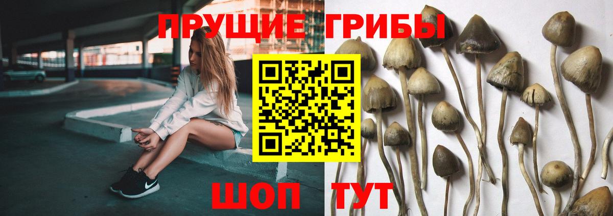 Псилоцибиновые грибы мухоморы Нижний Новгород